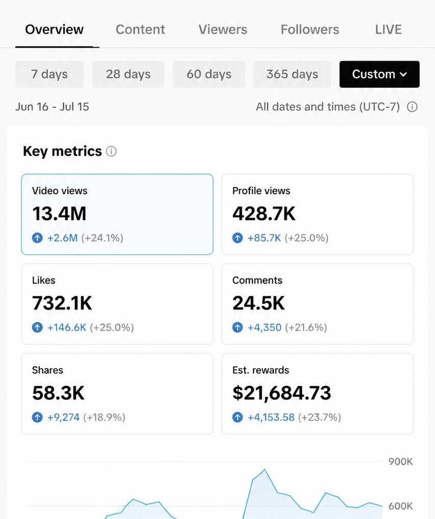Analytics screenshot 2